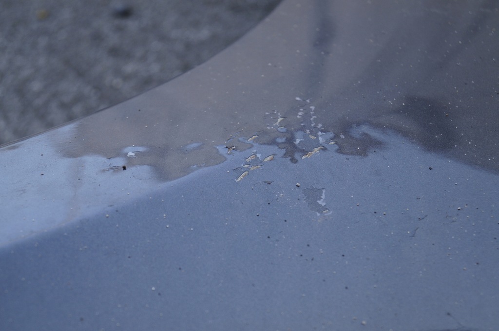 фото №5, Крыло правый перед suzuki vitara 05-14r