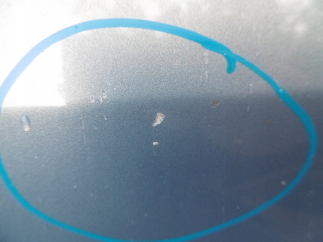 фото №4, Renault scenic ii двері праве передні ted 47