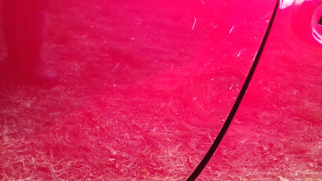 фото №5, Mazda cx3 двері задні праве