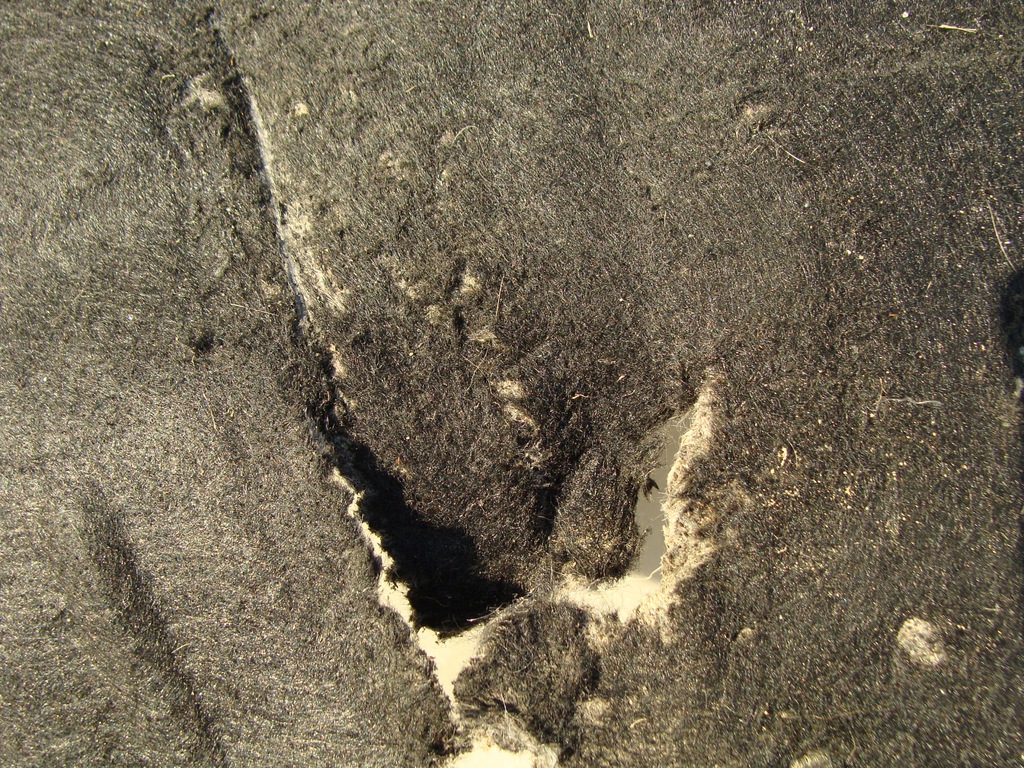 фото №4, Подкрылок правое перед dodge nitro 2.8 crd 2007 rok