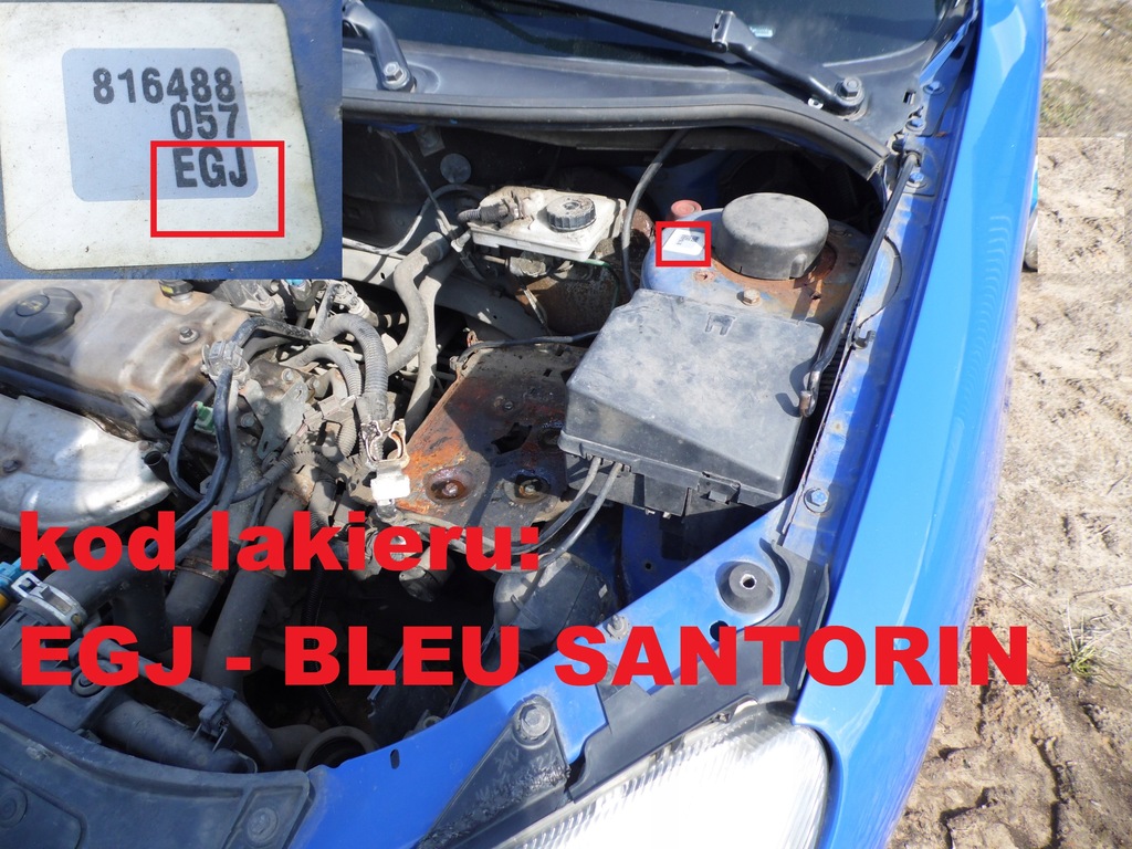 фото №10, Петля дверь правый перед góra peugeot 206 5d egj