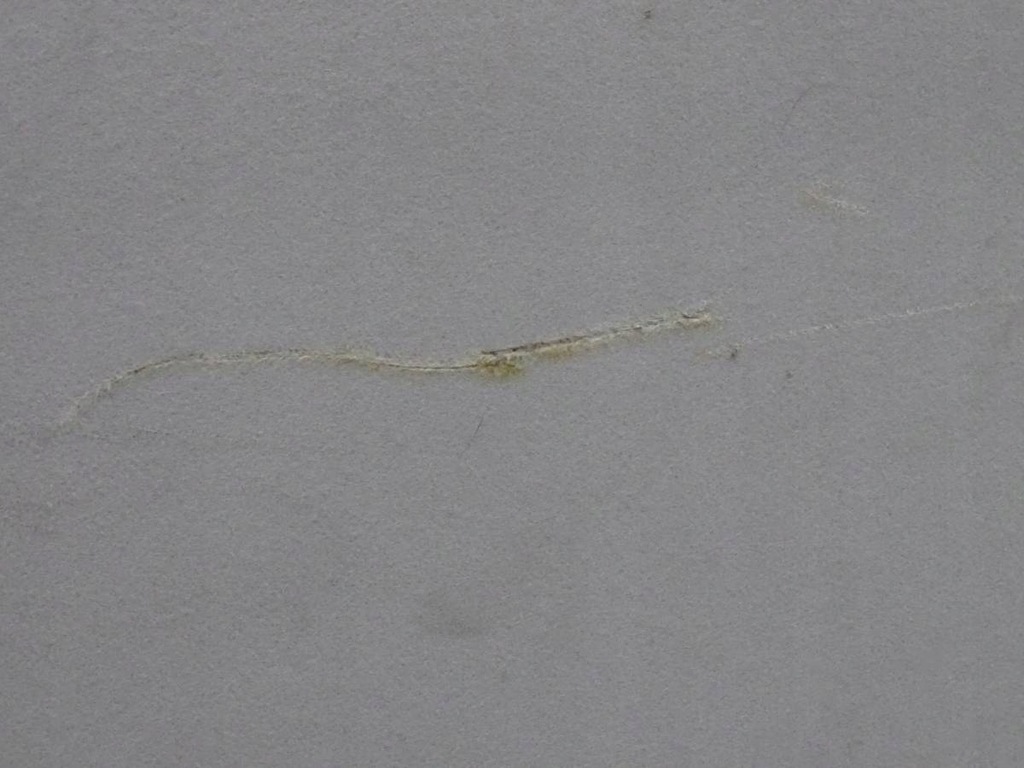 фото №5, Mitsubishi pajero iii 99-06 потолок 5d