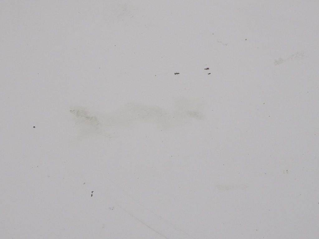 фото №7, Iveco daily iv v 06-14 дверь правый перед передние