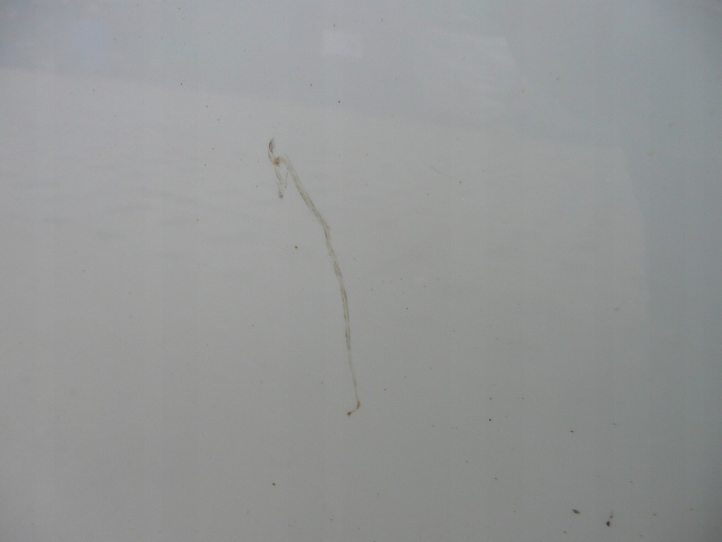 фото №5, Bmw e81 дверь левая перед