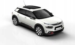 фото №3, Амортизатори пружини перед citroen c4 cactus