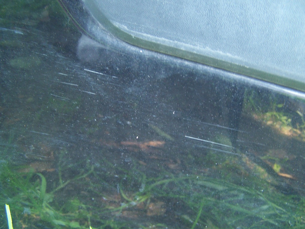 фото №3, Opel zafira b ii- двері праве задні z20r