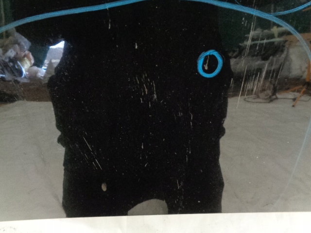 фото №3, Fiat ulysse ii капот кришка двигуна