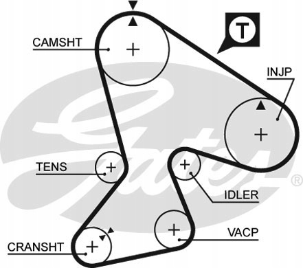 фото №3, Gates 5040xs ремень распределительного вала