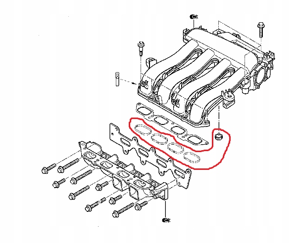 фото №14, Уплотнительное кольцо коллектор впускной laguna ii 1.8 2.0 16v org