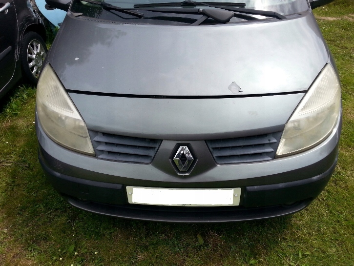 фото №1, Renault scenic ii - капот перед - nv603