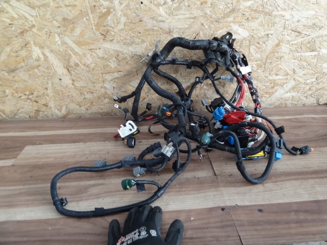 фото №1, Dacia sandero ii 2018 lift 1,0 sce жгут двигателя