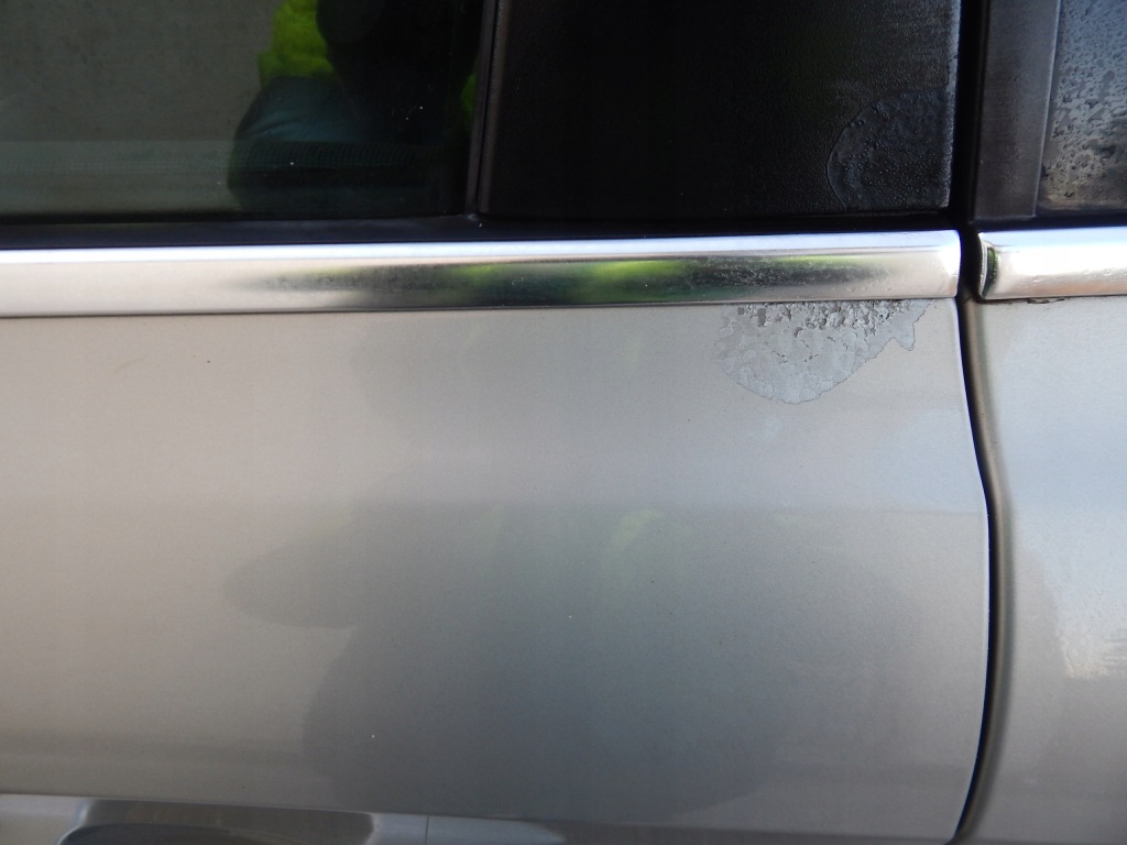 фото №5, Двері ліва задні лівий задня ford kuga mk1 колір p8