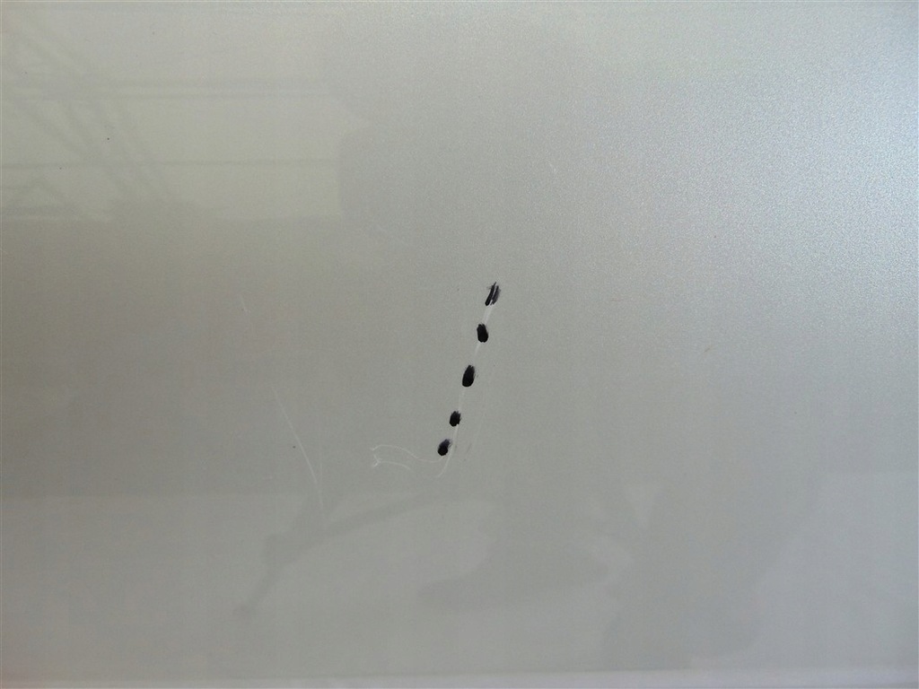 фото №5, Дверь правый перед citroen c4 cactus 2014-2017