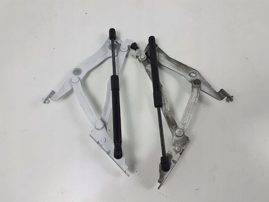 фото №1, Ford mustang vi 15- cabrio петли крышки багажника