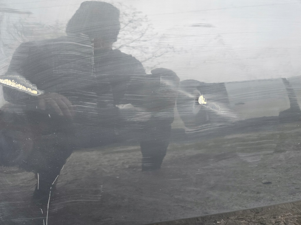 фото №2, Vw arteon 3g8 дверь задняя задние левая