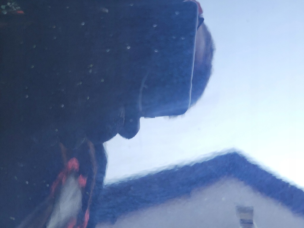 фото №10, Audi a8 d3 lift крила передній перед лівий lz5d