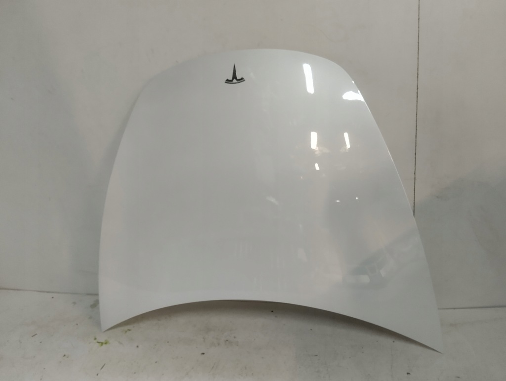 фото №1, Tesla 3 капот ppsw