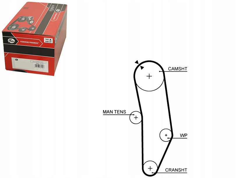 фото №5, Ремінь розподільного валу gates 5010