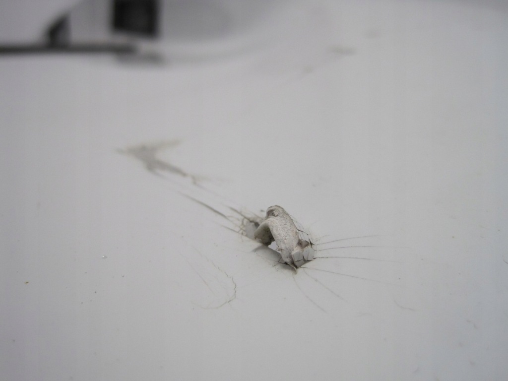 Бампер задні задній opel insignia a рестайлінг  hb 906300001 pdc x4 Недорого