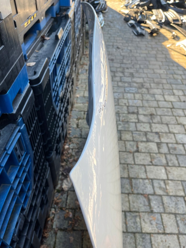 фото №10, Tesla x plaid капот