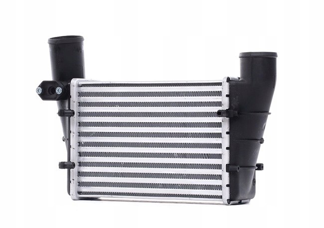 Ridex 468i0017 інтеркулер до vw passat variant 3b6 passat variant 3b5 Ціна