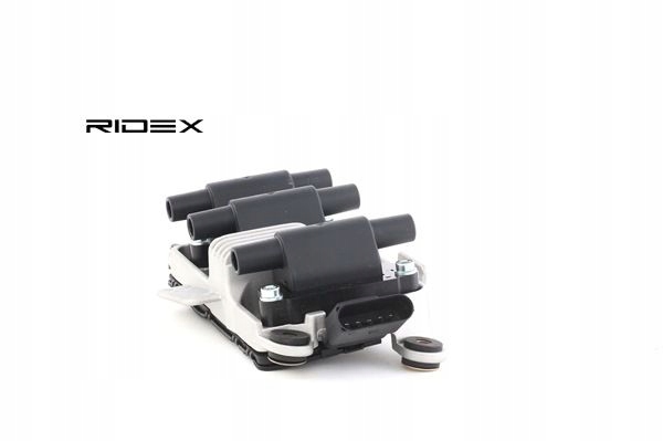 фото №15, Ridex 689c0042 катушка зажигания do vw passat variant 3b6 passat 3b3