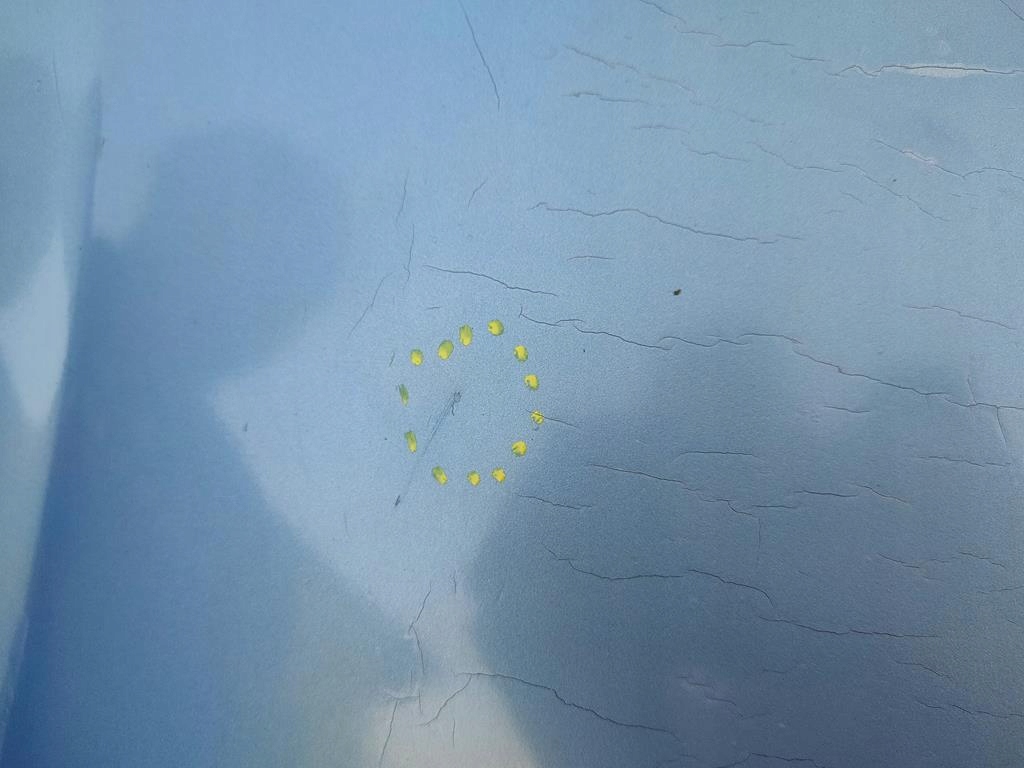 фото №14, Перед бампер, лампы, крылья c3 pluriel cabrio