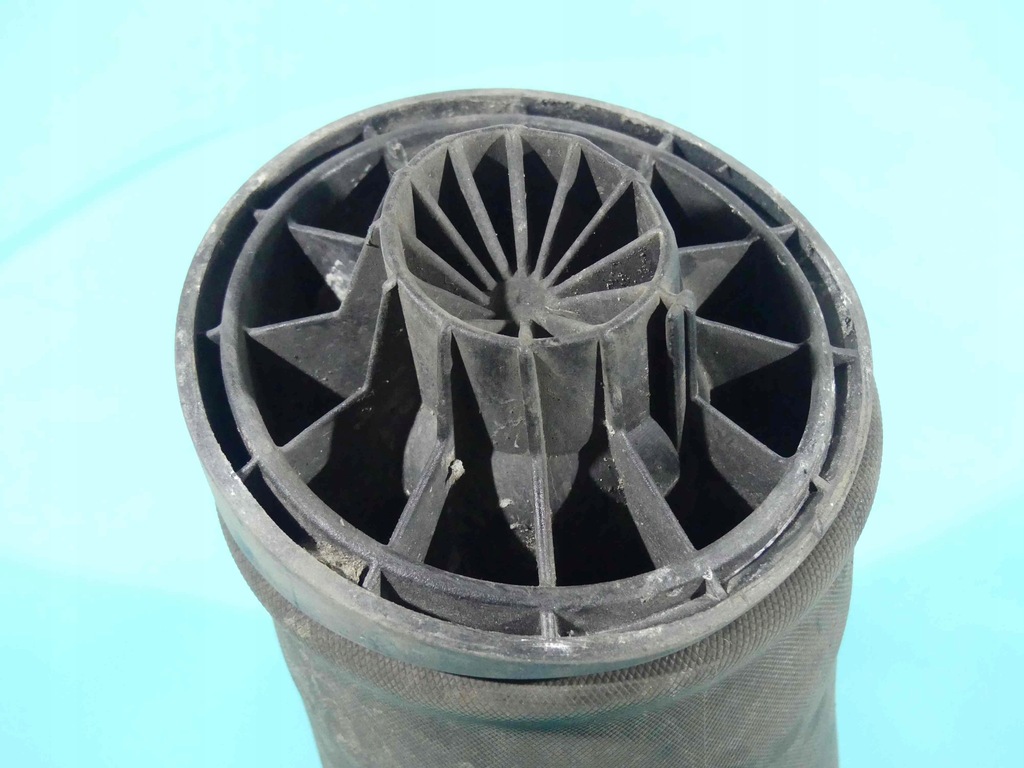 фото №2, Подушка пневматическая задняя mercedes r w251