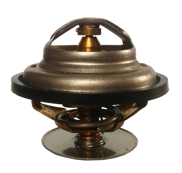 фото №1, Термостат zetor forterra, proxima