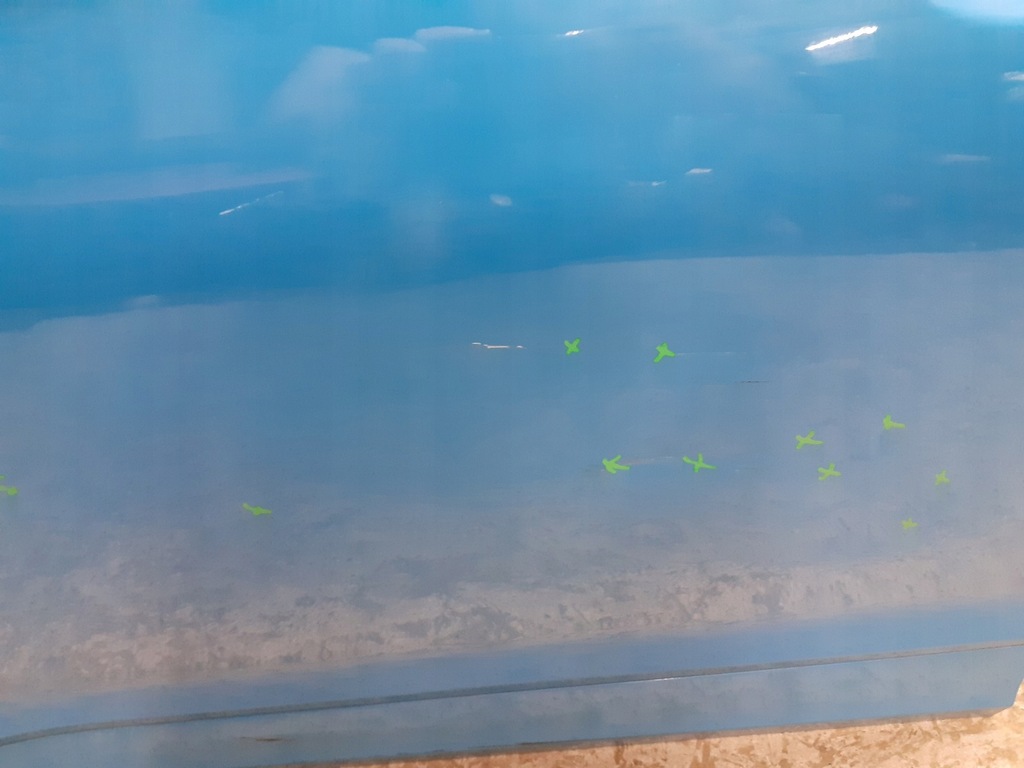 фото №7, Двері передні перед ліва hyundai kona 2017-