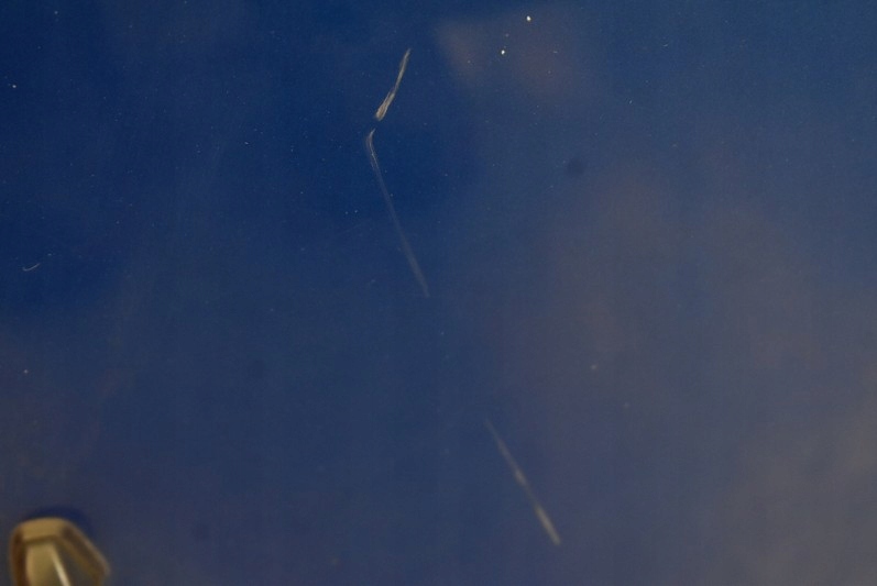 фото №7, Капот крышка двигателя niebieska suzuki sx4 06-14