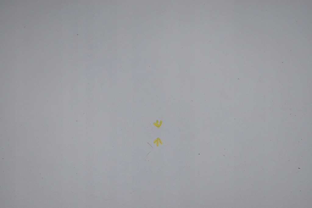 фото №5, Капот кришка двигуна mazda 6 ii