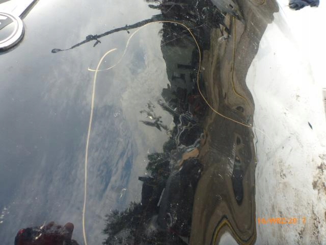 фото №6, Mini cooper f55 f56 14- капот крышка двигателя