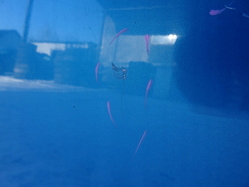 фото №16, Citroen c3 picasso дверь правое правый задняя