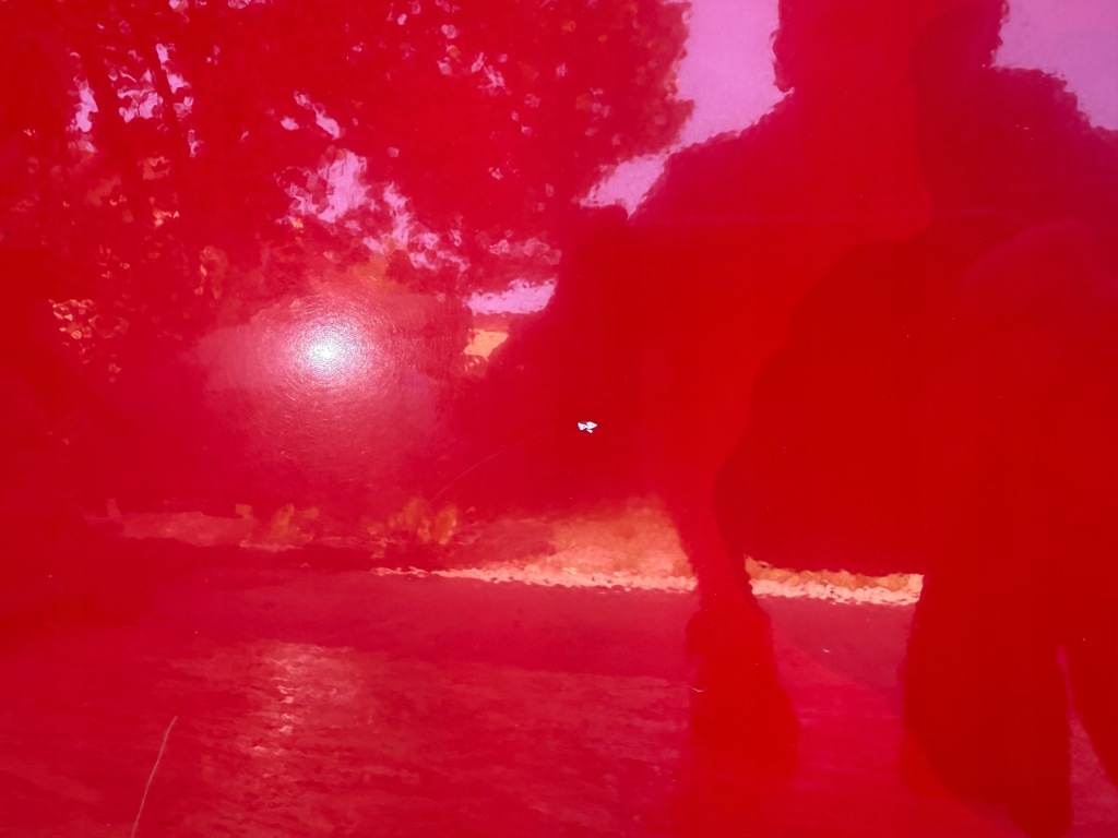 фото №4, Дверь правое vw beetle 5c0