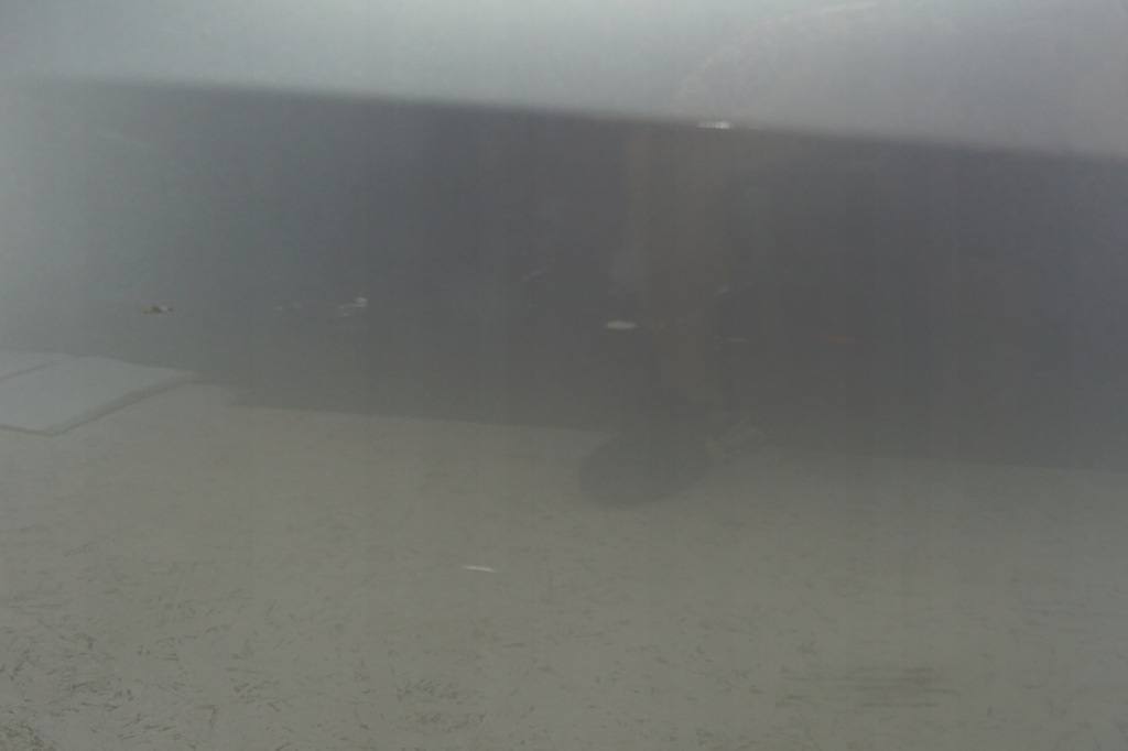 фото №10, Двері правий перед opel astra j