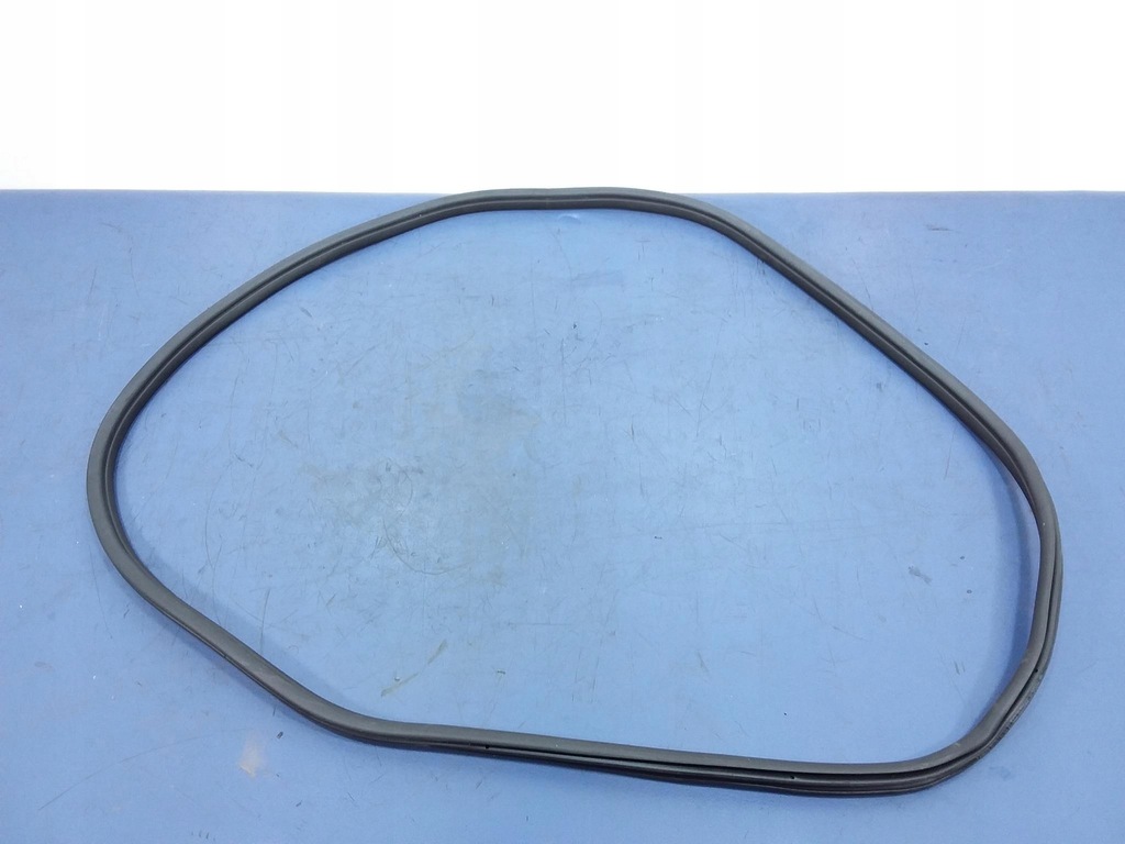 фото №1, Bmw прокладка двері задня 7393449 g01