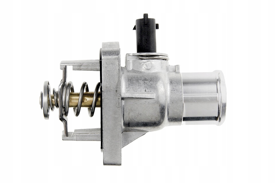 фото №2, Термостат