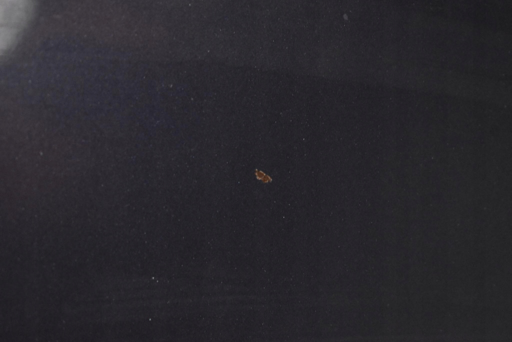 Капот крышка двигателя серая honda civic 9 ix универсал 13-20 с Разборки