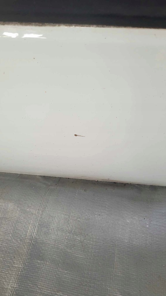 фото №7, Дверь передние правое citroen c4 cactus ewpb