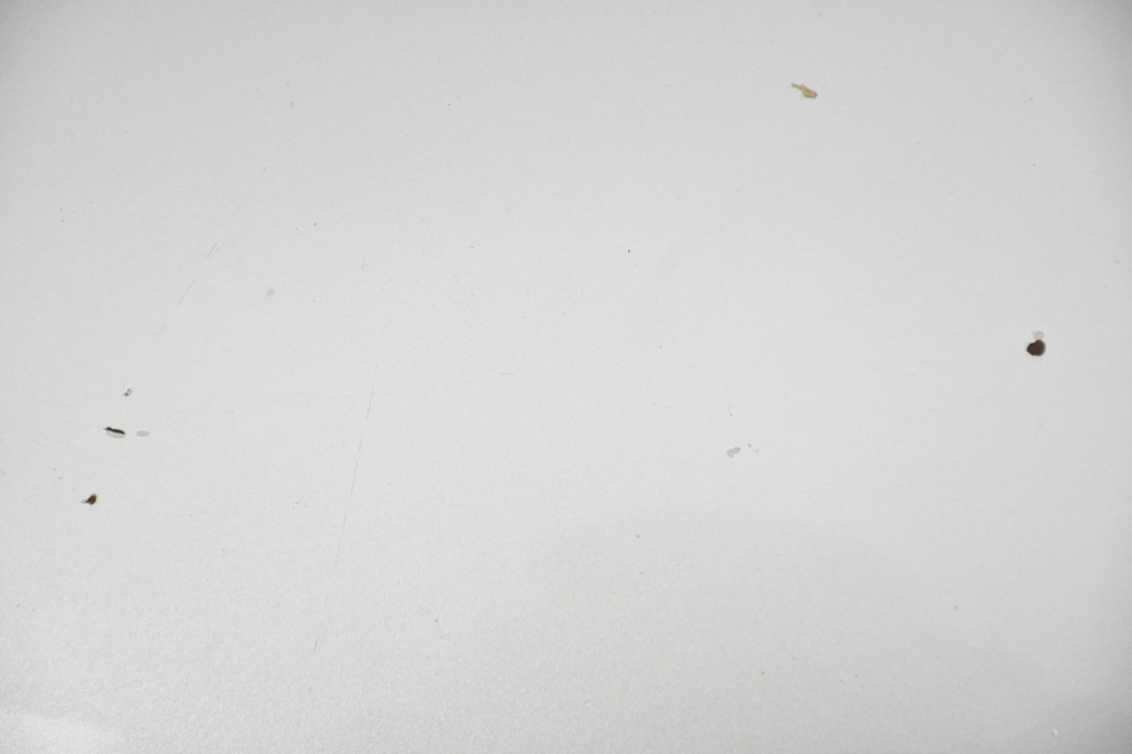 фото №8, Капот кришка двигуна toyota corolla verso ii