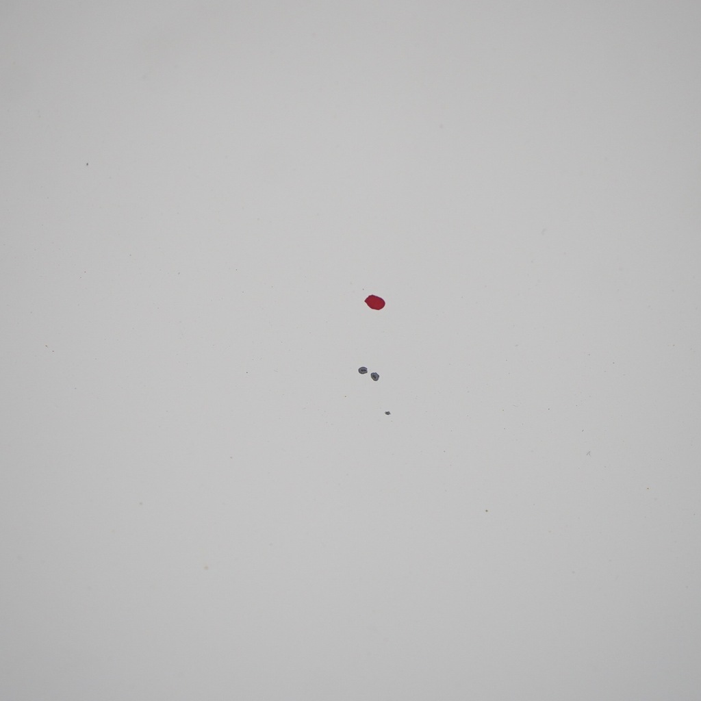 фото №11, Citroen berlingo peugeot partner ii капот двигателя