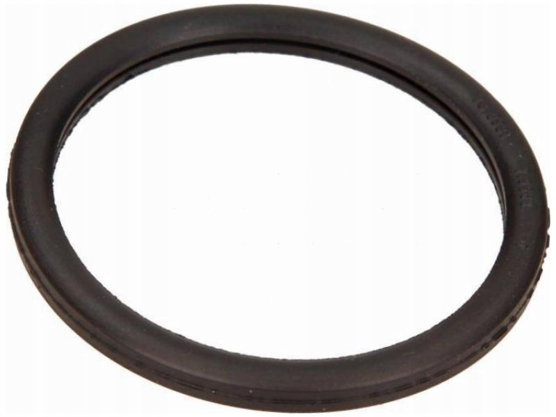 фото №1, Прокладка термостата renault trafic ii laguna iii avantime vel satis