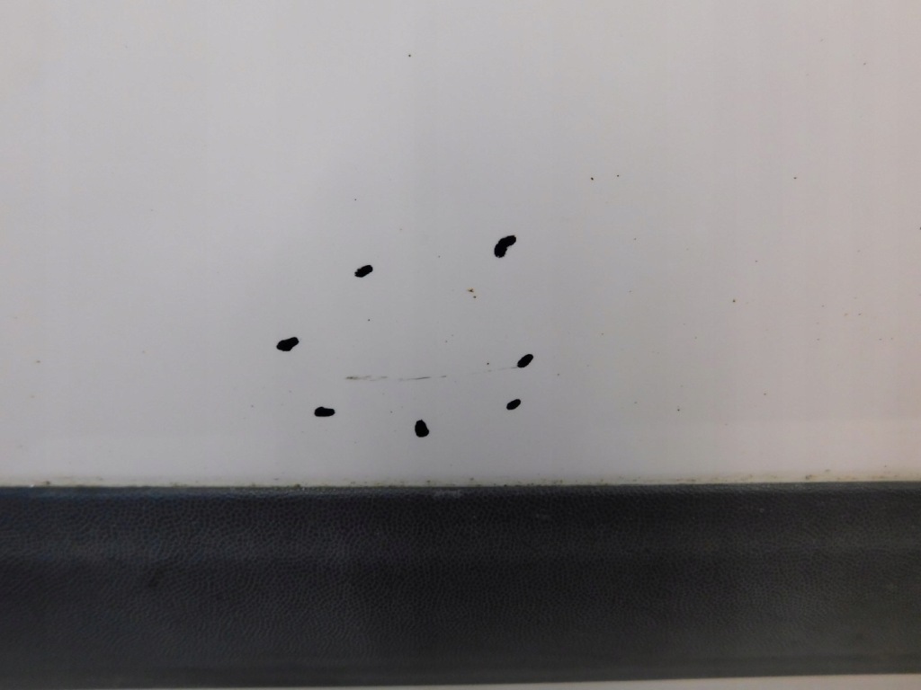 фото №2, Дверь правое перед transit connect 1.8tdci 06r