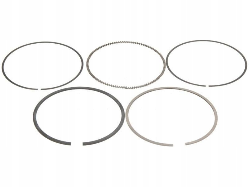 Купить Кольца поршневые bmw 5 e60 4,4 03-