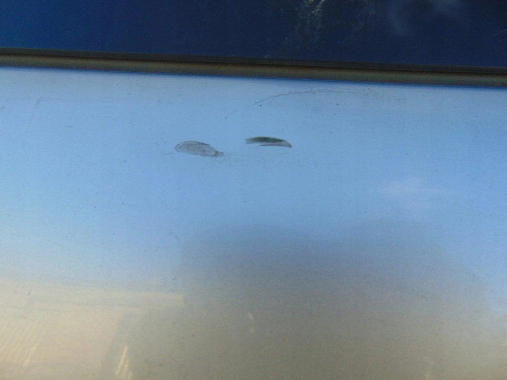 фото №6, Кришка багажника багажника з скло задня peugeot 307 hb 5d eycc