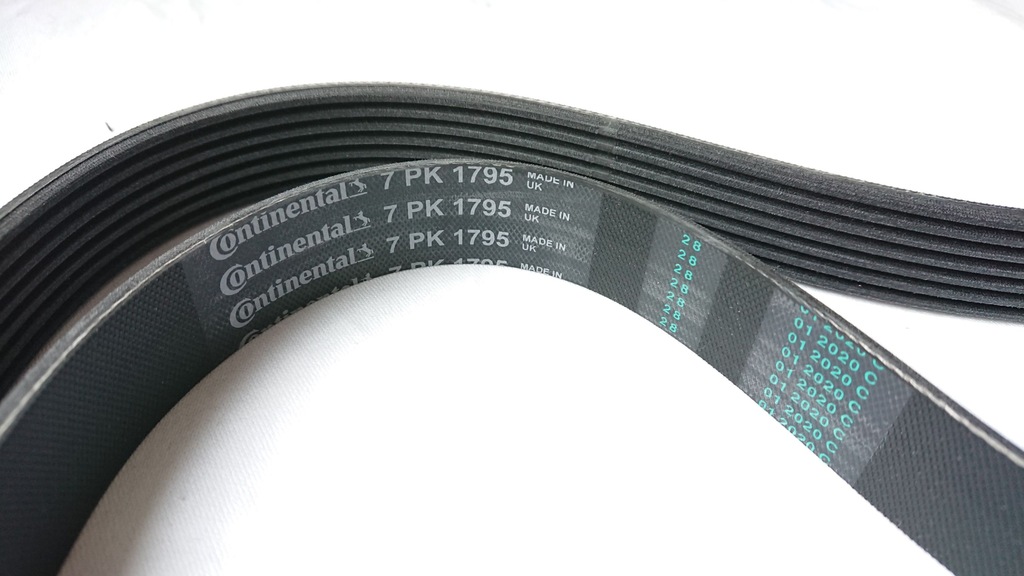 фото №3, Ремень многоручьевой renault laguna ii master ii