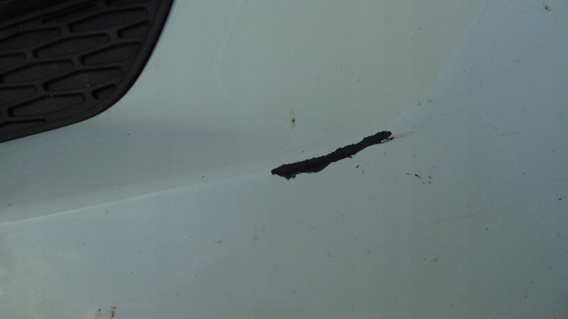 фото №10, Бампер перед передний 4xpdc land rover range rover evoque i 3d coupe l538