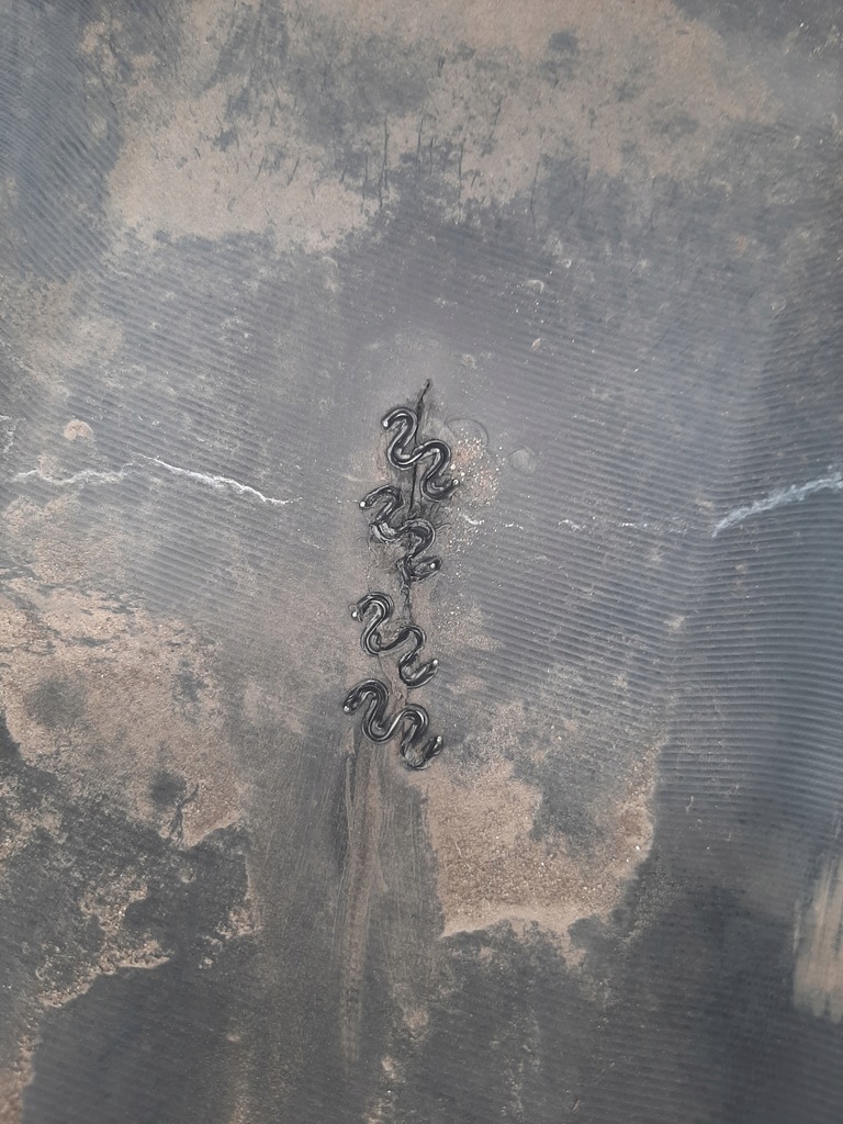 фото №16, Бампер задній pod датчики pdc honda crv cr-v колір nh711m 2006-2011