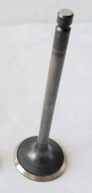 фото №1, Клапан всмоктуючий ssanie suzuki splash swift 1.2 k12b